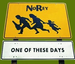 One of These Days - NoRey